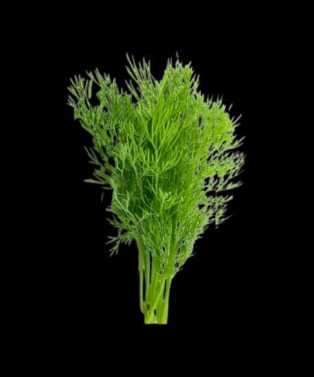 Vegetable Name in english and Hindi