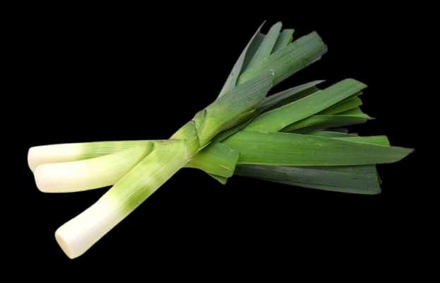 Vegetable Name in english and Hindi