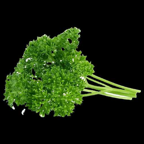 Vegetable Name in english and Hindi