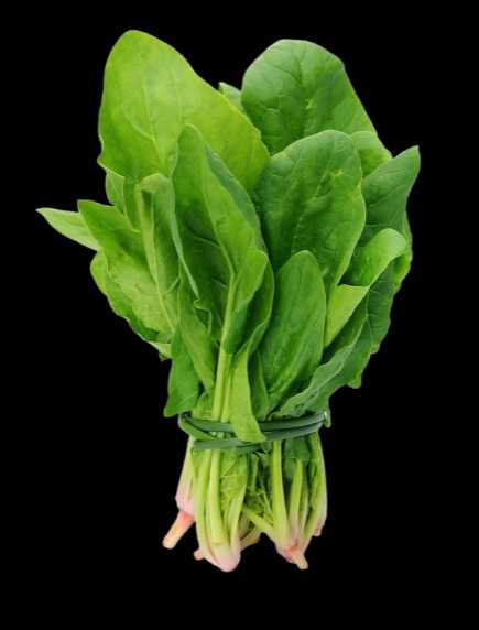 Vegetable Name in english and Hindi